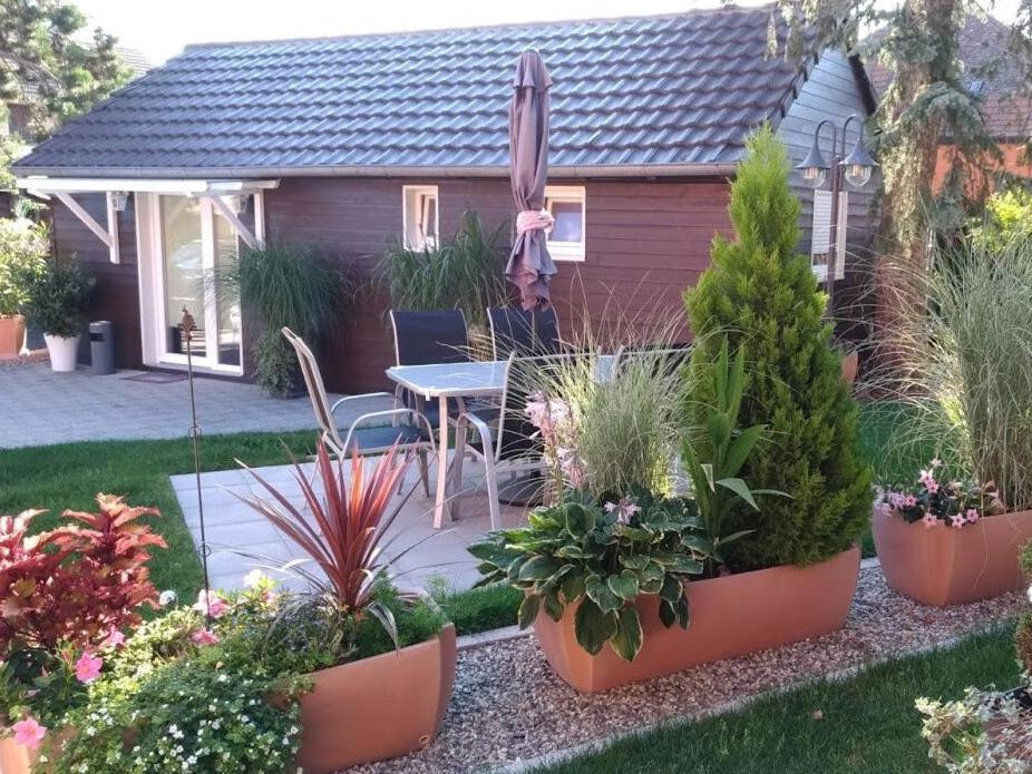 Gites Le P'Tit Paradis Du Ried Sundhouse Экстерьер фото